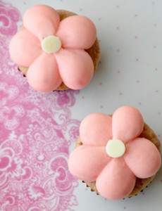 SBB - Strawberry Dream mini treats - Strawberry Dream.