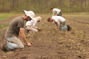 farmers working Workers at Henry's Farm pride themselves on organic farming techniques and grow 650 varieties of vegetables.